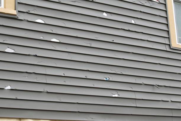 Professional Siding Installation & Repair in Highlands, CA